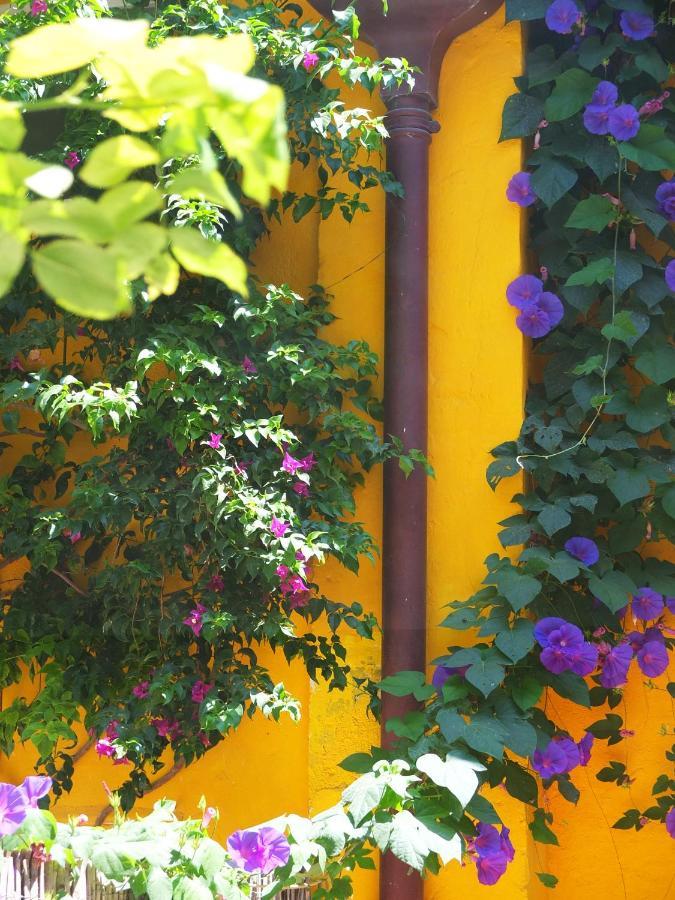 La Maison Jaune Sète Buitenkant foto