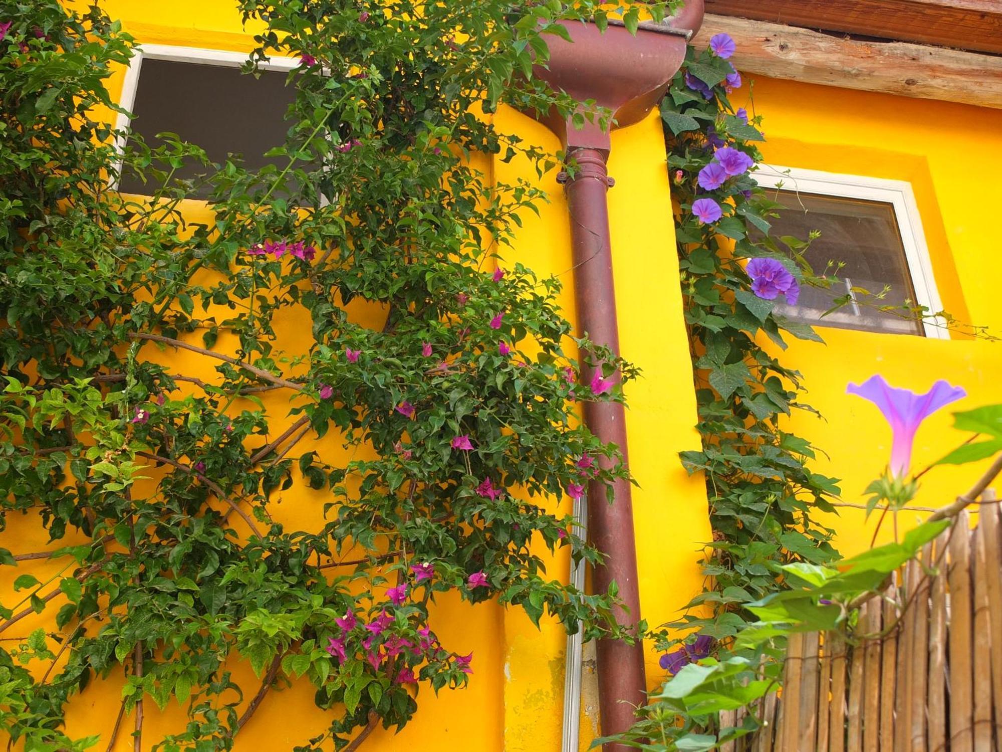 La Maison Jaune Sète Kamer foto